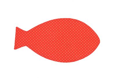 obr.6 - zadní strana